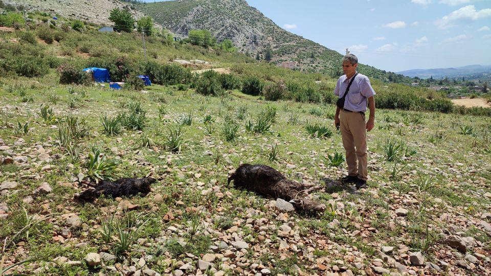 <p>Trafikteki sürücüler ilerlemekte zorlanırken, sağanak nedeniyle tarım arazileri de zarar gördü. Su basan ahırlardaki çok sayıda hayvan öldü. </p>
