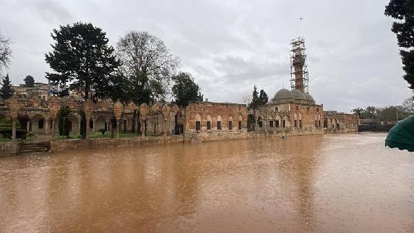 <p>'YAKIN ZAMANDA AÇILACAK'</p>
<p>Çalışmaları yerinde inceleyen Şanlıurfa Büyükşehir Belediye Başkanı Zeynel Abidin Beyazgül, önümüzdeki günlerde Balıkgöl'ün sağlamlaştırılan cephesiyle misafirlerini ağırlamaya başlayacağını ifade etti. </p>
