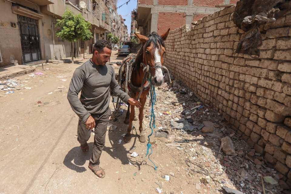 <p>Henüz 17 yaşında vücut geliştirme sporuyla tanışan ve bir çok yerel ve ulusal yarışmada derece yapan El Sharkawi'nin hedefi bir gün dünya şampiyonu olmak.</p>