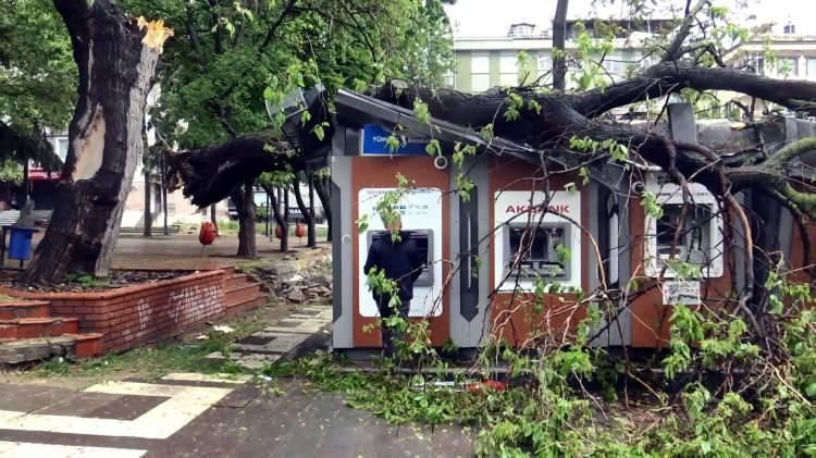 <p>Ağacın kırıldığı bölgede park edilen bir otomobil de küçük çizikler dışında hasar görmedi. Büyük şans eseri ölen veya yaralanan olmayan olayda ATM’nin hemen üzerinde oldukça büyük ağaç gövdesinin üzerlerine düşme tehlikesine aldırmayan 3 kişi para çekti. Ağaç yaklaşık yarım saatlik çaba ile kesilerek götürüldü.</p>