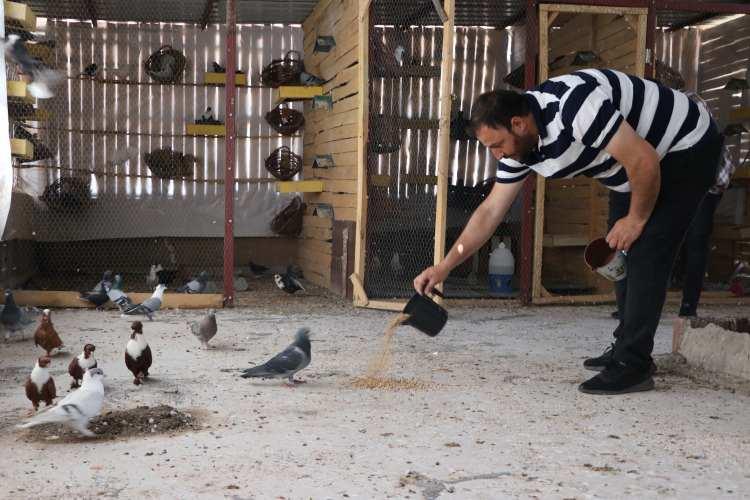 <p>Diyarbakır’da her yıl mart ayının son haftasında düzenlenen, belirli bir noktadan bırakılarak Diyarbakır’a dönmeleriyle sonlanan güvercin yarışları, Kahramanmaraş merkezli depremler nedeniyle geç başladı. </p>

<p> </p>
