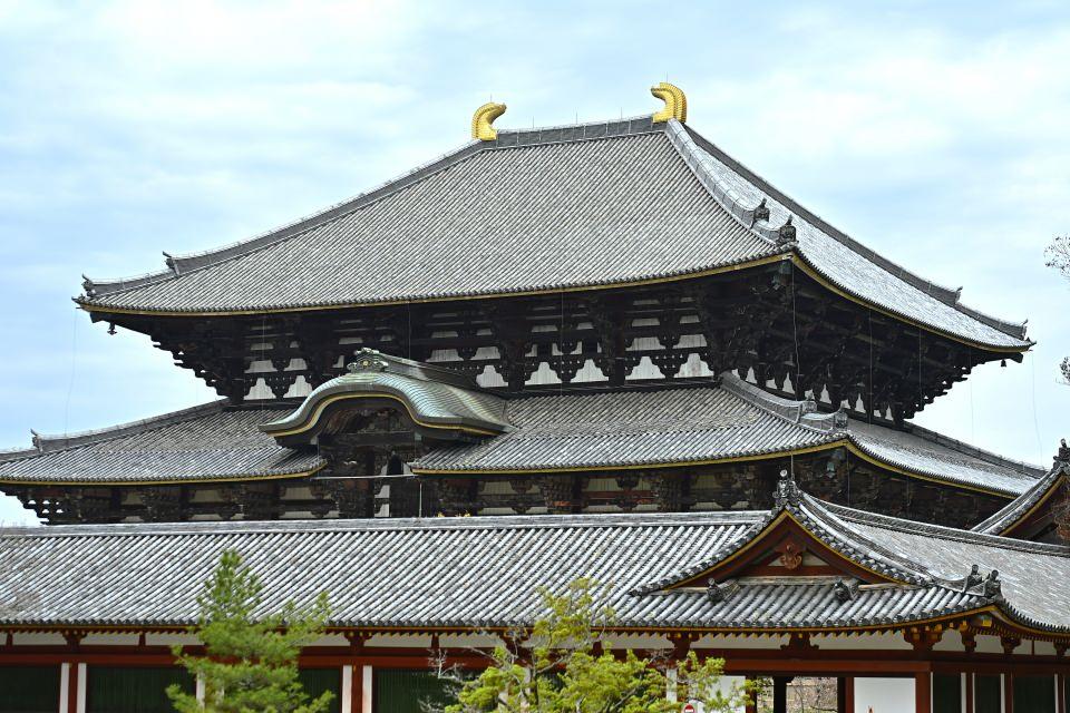 <p>Japonya'nın en eski zamanlarının sırları, ülke tarihinin kalıntıları, insanların doğayla uyum içinde yaşadığı dönemden beri hala Nara’yı çevreleyen büyük ormanlarda gömülü olduğuna inanılıyor.</p>