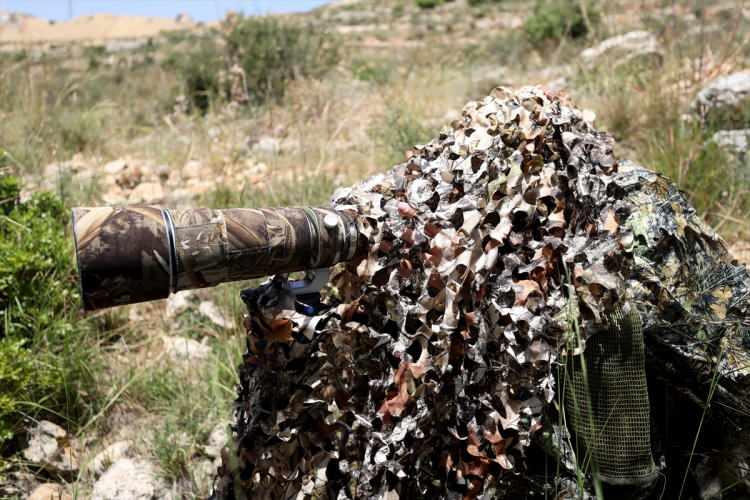 <p><strong>Yaban hayatı fotoğrafçılığı ve zorlukları</strong></p>

<p>Yaban hayatı fotoğrafçılığının zorluğuna değinen Rimavi, bunun için kuşların ve hayvanların beslenme davranışlarını ve nerede yaşadıklarını bilmek gerektiğini vurguladı.</p>
