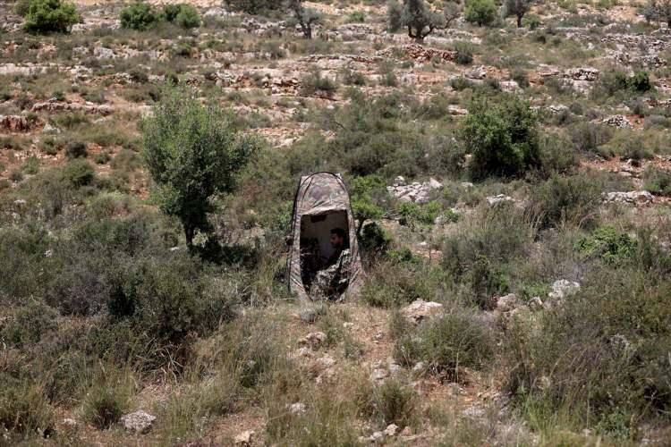 <p>Pandemi sürecinde ise Filistinli fotoğrafçılar aracılığıyla ülkesindeki yaban hayatının çeşitliliğini ve zenginliğini keşfeden Rimavi, Batı Şeria'ya döndükten sonra buradaki kuş türlerini fotoğraflamaya başladı.</p>