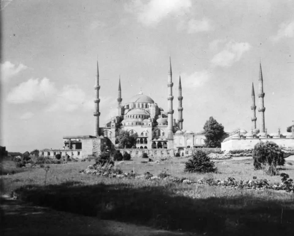 <p>Bunun üzerine Türkiye programının gerisini tamamen iptal edip, bu iki cami üzerine yoğunlaşmışlar. Araştırmalarının sonucunda herhangi bir sarsıntı sırasında bu iki caminin sabitlenmediğini aksine yerinde oynayarak yıkılmaktan kurtulabildiği ortaya çıkmış. Minareleri incelediklerinde ise şaşkınlıkları ikiye katlanmış. </p>