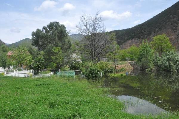 <p>Gmüşhane'de, son günlerde yağışların artmasıyla su seviyesi yükselen Torul Barajı'ndaki taşkın nedeniyle, Çamlıca Mahallesi'nde mezarlık su altında kaldı. </p>
