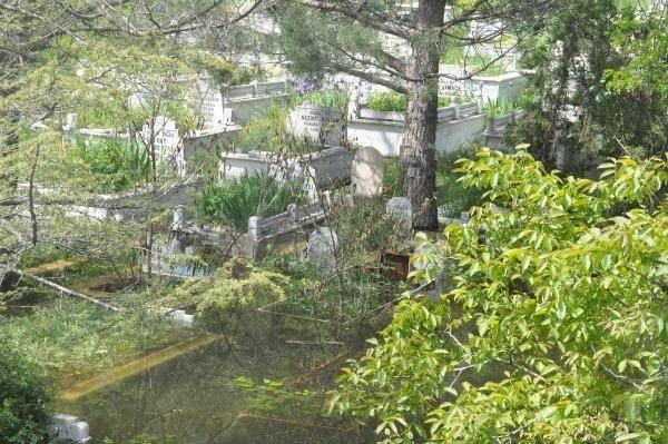 <p>Vauk Dağı'ndan doğup Karadeniz'e dökülen, geçtiği 160 kilometre boyunca derin vadilere hayat veren Harşit Çayı üzerinde enerji üreten Torul Barajı'nda, yağışlarla birlikte su seviyesi yükseldi, taşkın meydana geldi.</p>