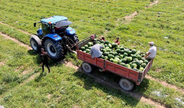 <p>Günlük rahat 150 ton mal yüklüyoruz, şartlarımız zor ama yapmak zorundayız” diye konuştu.<br />
İşçilerden Mehmet Gökkan, “Günlük 40-45 derece sıcakta çalışıyoruz. İşçiler de zorlanıyor, günlük 150 ton karpuz yüklüyorlar.</p>
