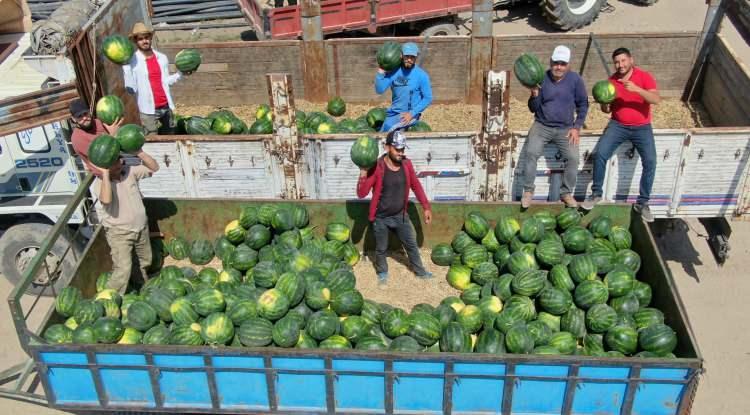 <p>Adana'da başlayan karpuz hasadıyla birlikte 'Yükleyici' olarak bilinen işçiler de 400 lira yevmiye ile yoğun mesai harcıyor günlük yaklaşık 150 ton karpuzu kamyonlara doldurarak ülkenin dört bir tarafına gönderiyor.</p>
