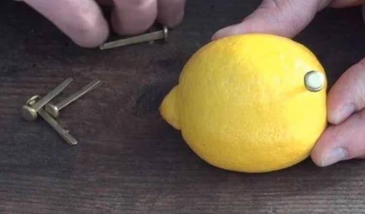 <p><strong>Daha sonra masaya limonu koyarak çiviye benzeyen demir parçalarını limonun içine sırayla geçiriyor. </strong></p>
