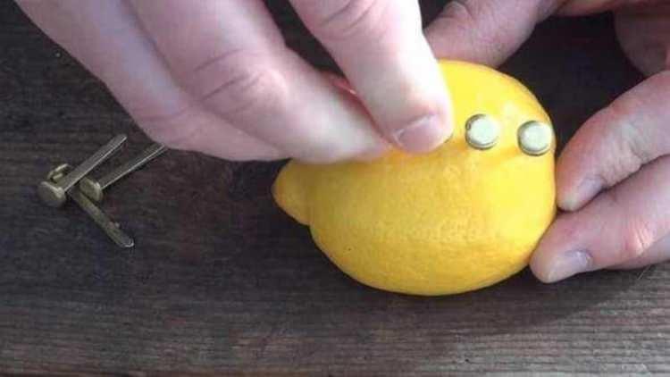 <p><strong>Sırayla dizme işlemini gerçekleştirdikten sonra hepsini bir tel yardımıyla birbirine bağlıyor. </strong></p>