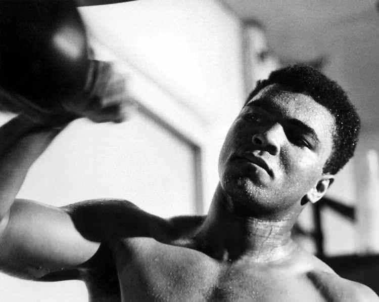 <p>İlk profesyonel maçında 29 Ekim 1960'da Tunney Hunsaker'ı yenen Muhammed Ali, aralarında döneminin önemli boksörleri Tony Esperti, Jim Robinson, Donnie Fleeman, Alonzo Johnson, George Logan, Willi Besmanoff, Lamar Clark, Doug Jones ve Henry Cooper'ın da yer aldığı rakiplerini de mağlup etti.</p>
