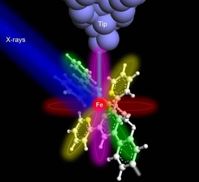 <p><strong>Artık her seferinde bir atom olmak üzere belirli bir atomun türünü tam olarak tespit edebiliyoruz ve aynı anda kimyasal durumunu ölçebiliyoruz. Bunu yapabildiğimizde, malzemeleri tek bir atomun nihai sınırına kadar izleyebiliriz. Bunun çevre ve tıp bilimleri üzerinde büyük bir etkisi olacaktır."</strong> dedi.</p>
