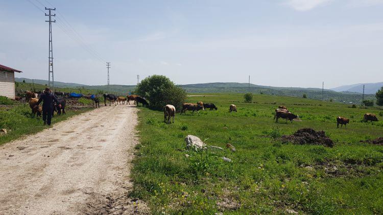 <p>Şuan bütün ekipmanlarımız yerinde. Hayvancılıkta bunlar büyük kolaylık sağlıyor” ifadelerini kullandı. Gençlere tavsiyelerde bulunan Ceylan şunları söyledi:</p>