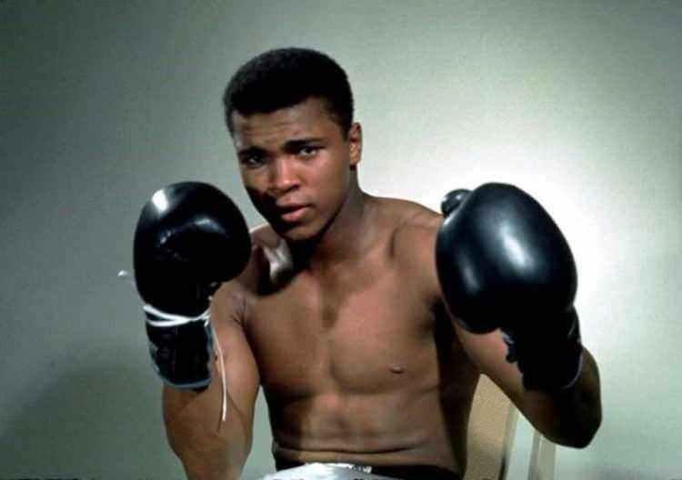 <p>Muhammed Ali, amatör olarak katıldığı 167 maçın 161’ini kazanarak bu alanda bir rekora imza attı. Profesyonel döneminde yaptığı 61 maçta sadece 5 kez yenilen, olimpiyat ve dünya şampiyonu olan Muhammed Ali, 37'si nakavt olmak üzere 56 maçını kazandı.</p>
