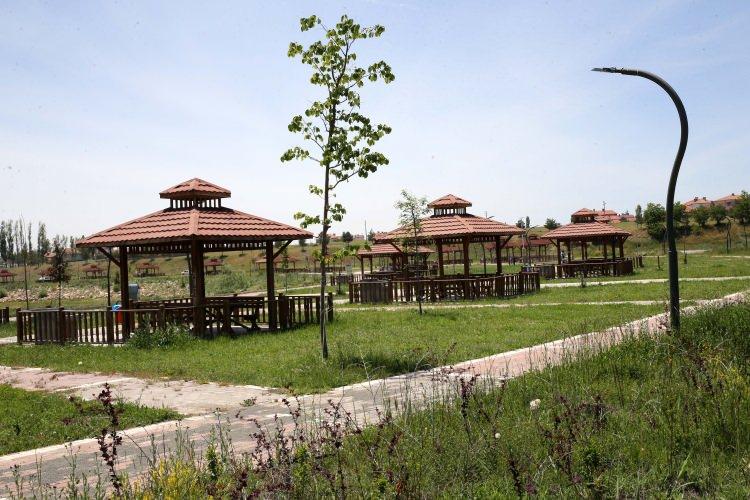 <p>Sivas Şarkışla Millet Bahçesi</p>
