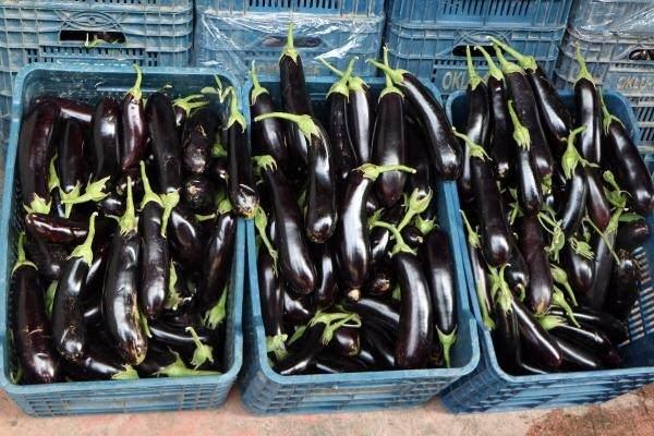 <p>Adana meyve-Sebze Hali’nde kilosu 1-2 lira olan kemer patlıcanın fiyatı semt pazarında 4’e katlanarak 8 liraya, marketlerde ise 9’a katlanarak 18 liraya satılıyor. </p>
