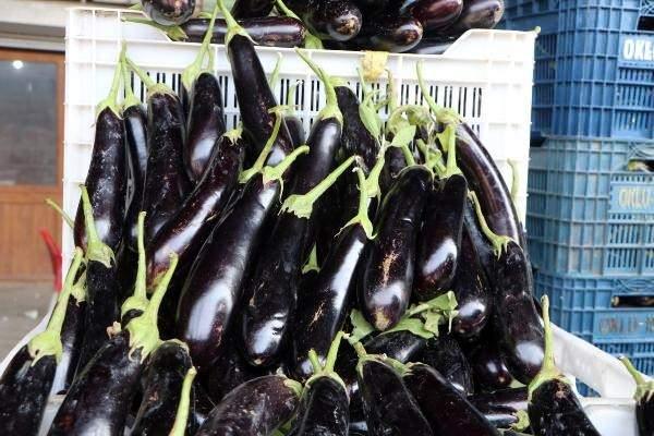 <p>Marketlere yapılan denetimlerin sıklaştırılmasıyla vatandaş 3 kilo patlıcan yerine 5 kilo patlıcan alır. Marketlerde bu fiyatlara satılmasına anlam veremiyoruz. </p>
