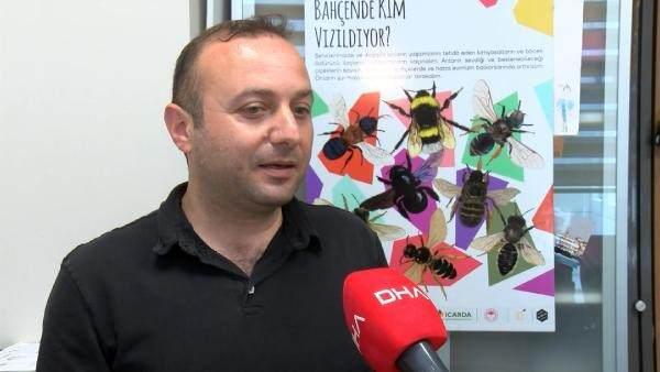 <p>‘Oğul verme’ adı verilen dönem için İstanbul Üniversitesi Fen Fakültesi Biyoloji Bölümü Dr. Öğretim Üyesi Fatih Dikmen, "Mayıs ve Haziran boyunca arıların sayılarının arttığı ve bunun neticesinde oğul verme gibi davranışlar sergilediklerini görebiliriz.</p>
