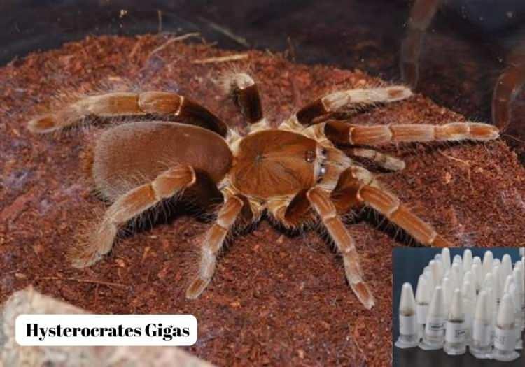 <p>Olayla ilgili soruşturma Marmaris Cumhuriyet Başsavcılığı nezdinde devam ediyor.</p>