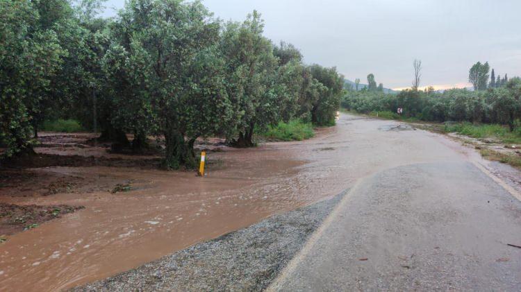 <p>ZONGULDAK</p>

<p> </p>
