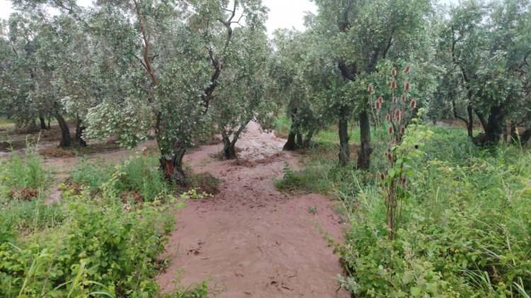 <p>KAHRAMANMARAŞ</p>

<p> </p>
