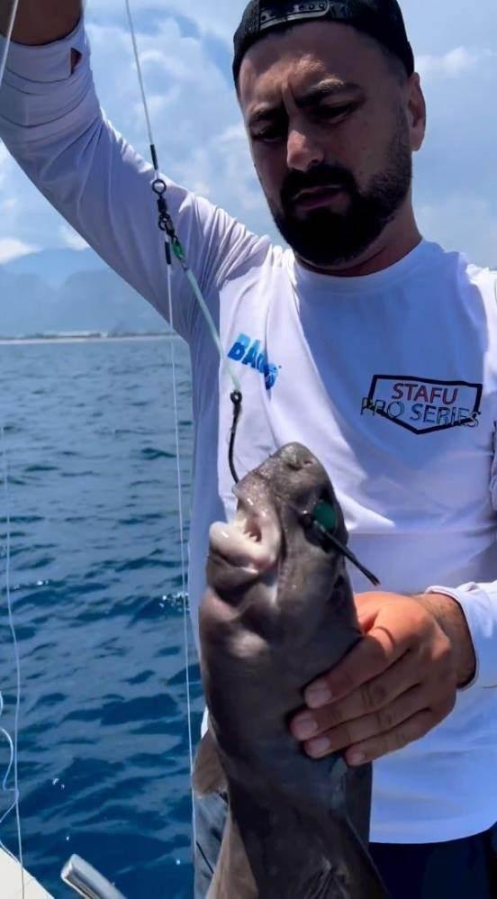 <p>Özellikle sosyal medyada köpek balığı görüntüsü çekip paylaşılan görüntülerin, vatandaşlarda korku oluşturduğunu ancak söz konusu olayın kıyıdan çok açıkta ve tehlike oluşturmayacak düzeyde olduğuna vurgu yapan Gökoğlu, şu anda köpek balığı popülasyonunun oldukça azaldığını da sözlerine ekledi.</p>