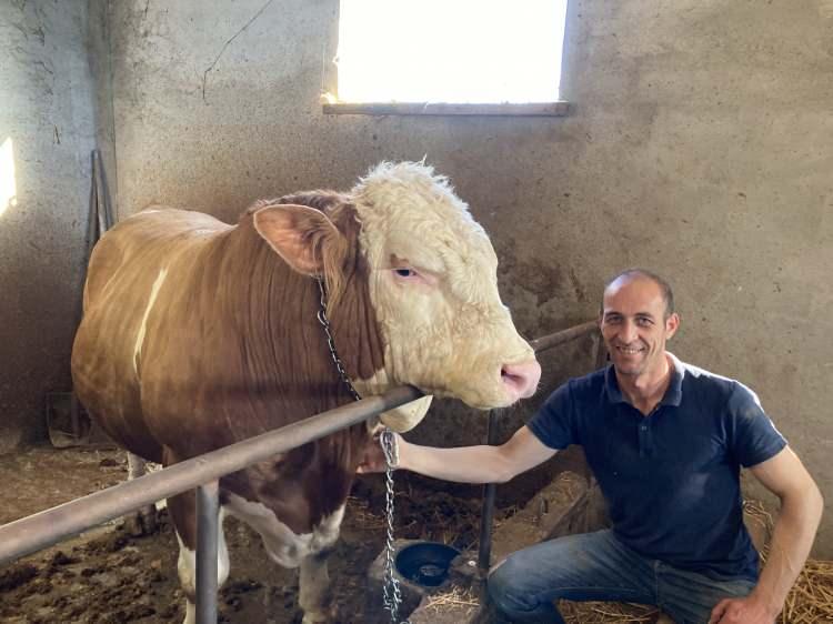 <p><strong>KURBANLIĞIN SAĞLIKLI OLMASI GEREKİR</strong></p>
<p>Kurban edilecek hayvan sağlıklı ve organları tam olmalıdır. Hayvandan beklenen maksadı tümüyle yok eden veya değerini azaltan kusurlar, hayvanın kurban olmasına engel teşkil eder.</p>
<p> </p>