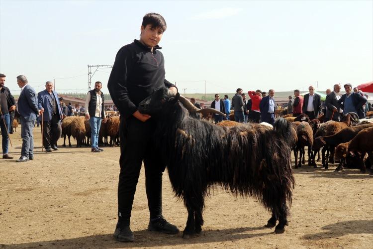 <p>Kurban ibadetinin en temel maksatlarından biri de ihtiyaç sahiplerine kurban etlerini ulaştırarak onların kurban bayramı sevincine iştirak etmelerini sağlamaktır.</p>
<p>Bu doğrultuda kurban organizasyonu yapan kuruluşların kurban etlerini satma cihetine gitmeden, bayram günlerinde et olarak ihtiyaç sahiplerine ulaştırma gayreti içerisinde olmaları gerekir.</p>
<p> </p>