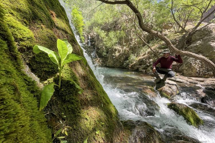 <p>Kocaeli'den gelen Yeter Bektaş ise doğayı çok seven biri olduğunu ve Hakkari'nin coğrafyasına hayran kaldığını dile getirdi.</p>
