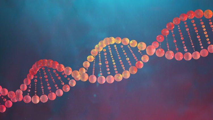 <p><strong>DNA'DAN SONRAKİ EN BÜYÜK GİZEM Mİ ÇÖZÜLDÜ?</strong></p>

<p> </p>

<p><strong>"DNA'nın bulunmasından sonra yaşama dair en büyük keşif sizinki mi" sorusuna Öztürk, "Bunu ben söyleyemem. Onu bilim insanları takdir edecektir. </strong></p>

<p> </p>

<p><strong>Bu tarz şeyleri söyleyebilmek için daha çok erken. Ama hayatın başlangıcı araştırmalarındaki en büyük problemlerden biri olarak düşünülüyordu bu konu. Bunu rahatlıkla söyleyebilirim."</strong> ifadesini kullandı.</p>
