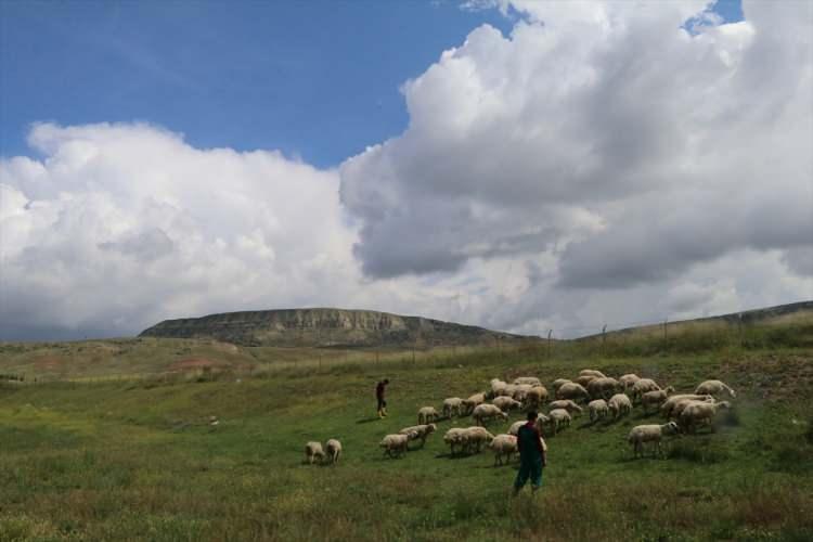 <p>Hissedarların etlerinden eksiltme yoluna gidilerek veya tahmini kilodan fazla gelen etler toplanarak yeni bir hisse oluşturulmamalı ya da bu etler başkalarına satılmamalıdır.</p>
<p> </p>