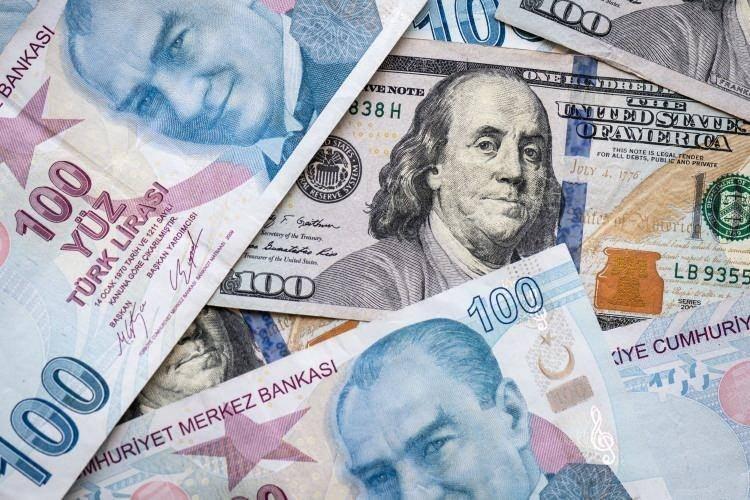 <p>Türkiye Cumhuriyet Merkez Bankası’nın 27 ayın ardından 650 baz puanlık faiz artırımı yapması sonrası ağır baskı altında olan Türk Lirası'ndaki düşüş devam ediyor.</p>

<p> </p>

<p> </p>
