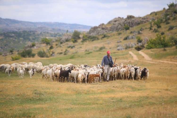 <p><strong>KURBANLIĞIN FİZİKİ ÖZELLİKLERİ</strong></p>

<p>Hayvandan beklenen maksadı tümüyle yok eden veya değerini azaltan kusurlar, hayvanın kurban olmasına engel teşkil eder.</p>

<p> </p>

