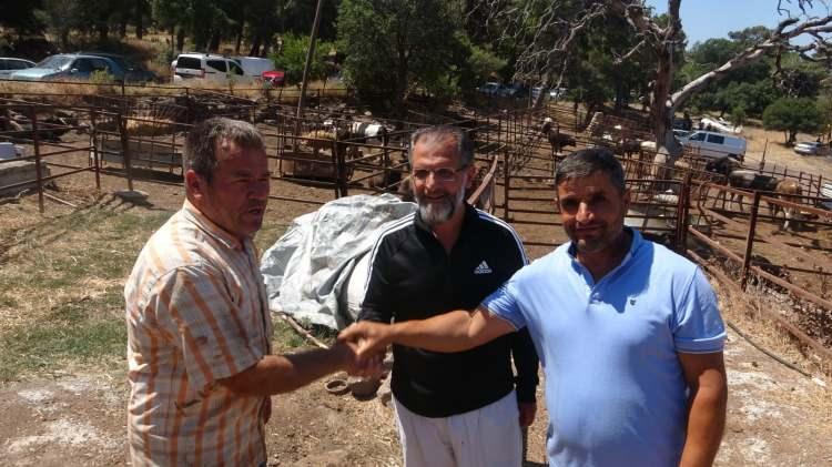 <p>Çanakkale’de büyükbaş hayvan besi çiftliğinde 36 yıldır büyükbaş hayvan yetiştiriciliği yapan Hasan Yavaş, boğasının bayramın 1’inci günü satıldığını belirterek, "Boğamız kendilerine hayırlı olsun. Allah kabul etsin" diye konuştu.</p>