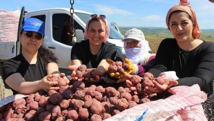 <p><strong>Aile yadigarı topraklarda profesyonel çiftçiliğe başlayan Kuşçu, birçok ürünün yanında  Türkiye’de ilk kez denenen mor patatese merak saldı.</strong></p>
