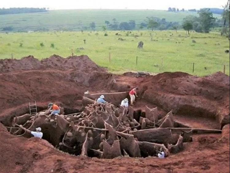 <p><strong>Hayvanlar aleminde bugüne kadar eşi benzeri görülmemiş birbirinden ilginç yapıları sizler için derledik. Aralarında dokumacı kuşlar, dokumacı karıncalar ve çardak kuşu gibi birçok hayvanın yer aldığı, görünce hayran kalacağınız birbirinden ilginç inşa edilmiş o yapılar...</strong></p>
