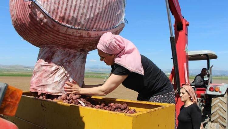 <p><strong>Çiftçilikten kazandığı parayla da örnek bir harekete imza atan Kuşçu, gelirlerini  şiddet mağduru ve ihtiyaç sahibi kadınlara destek olmak için kullandı.</strong></p>
