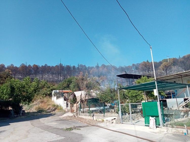 <p>Söndürme ve soğutma çalışmalarının tamamlandığı İzmir yangınları hakkında değerlendirmelerde bulunan OGM Genel Müdürü Bekir Karacabey, “Meteoroloji, önümüzdeki günlerde hava sıcaklığı mevsim normallerinin 5 ila 10 üzerinde seyretmesinin beklediğini duyurdu. Tabii bu durum ise orman yangınları riskini de beraberinde getiriyor. Bizler Orman Genel Müdürlüğü olarak ekiplerimizi seferber haline getirdik. Tabi yangının çıkmaması, yangının söndürülmesinden daha kolaydır." dedi.</p>