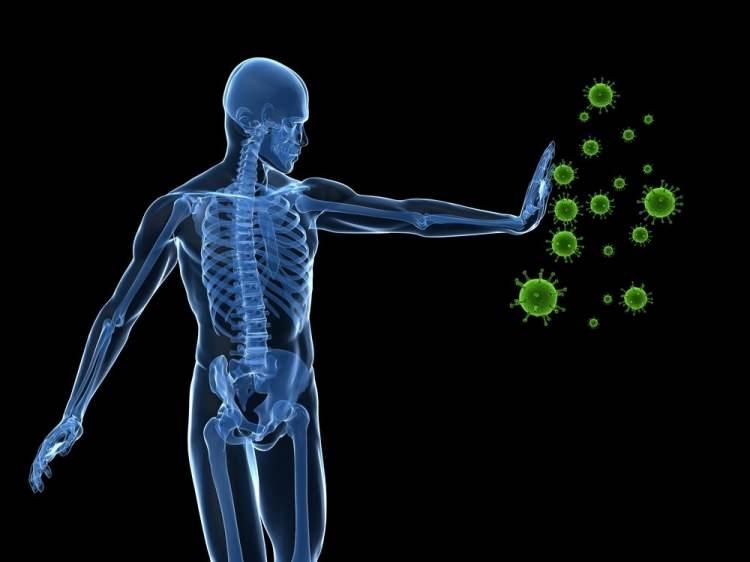 <p><span style="color:#800080"><strong><em>Bağışıklık sistemi vücudun enfeksiyonlara karşı savunmasıdır. Bağışıklık (immun) sistemi mikroplara saldırır ve bizi sağlıklı tutmamıza yardımcı olur.</em></strong></span></p>
