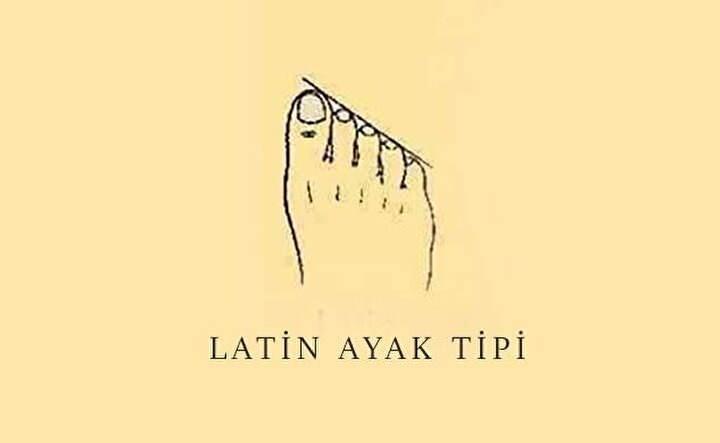 <p><span style="color:#FF0000"><strong>1. MISIR AYAK TİPİ</strong></span></p>

<p><span style="color:#000000"><strong>Eğer ayak baş parmağınız diğer parmaklardan uzunsa ve tüm parmaklar oranlı bir şekilde uzundan kısaya doğru sıralanıyorsa Mısır ayağına sahipsiniz demektir. Kökenlerinizin Mısır'dan geldiğine dair ipucu veren bu ayak tipinde 45 derecelik bir açıyla küçülen ayak parmakları en önemli detaydır.</strong></span></p>
