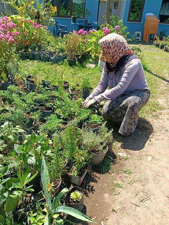 <p><strong>Çiçekleri dikmek, büyütmek hoşumuza gidiyor. Anne ve babamızı da kaybettik. Hiçbirimiz evlenmedik. Nasip olmadı. Evlenmeyi düşündük, düşünmedik değil ama olmadı" şeklinde konuştu.</strong></p>
