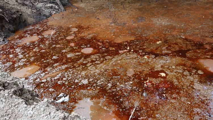 <p>Trabzon'da Beşikdüzü Organize Sanayi Bölgesi'nin (OSB) arıtma sistemi yetersiz kalıp, tıkanınca 3 balık fabrikasının atıkları, kanalizasyondan taşarak ulaştığı derede kirlik oluşturdu. Rengi kırmızıya dönen dereden çevreye yayılan kötü koku nedeniyle Trabzon İçme Suyu ve Kanalizasyon İdaresi'nce (TİSKİ) OSB'ye 200 bin TL para cezası uygulanırken, 3 fabrikanın da faaliyeti durduruldu.</p>
