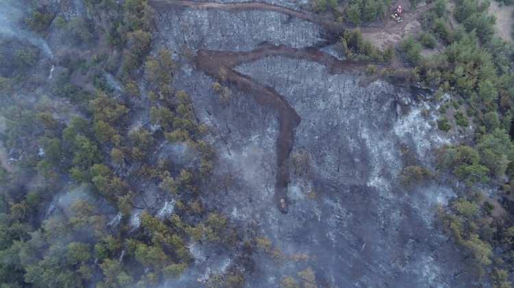 <p>Çanakkale Valisi İlhami Aktaş, Orman Bölge Müdürü Enver Demirci ve İl Jandarma Komutanı Kıdemli Albay Sadi Akman ile bölgeye gelerek incelemelerde bulundu.</p>