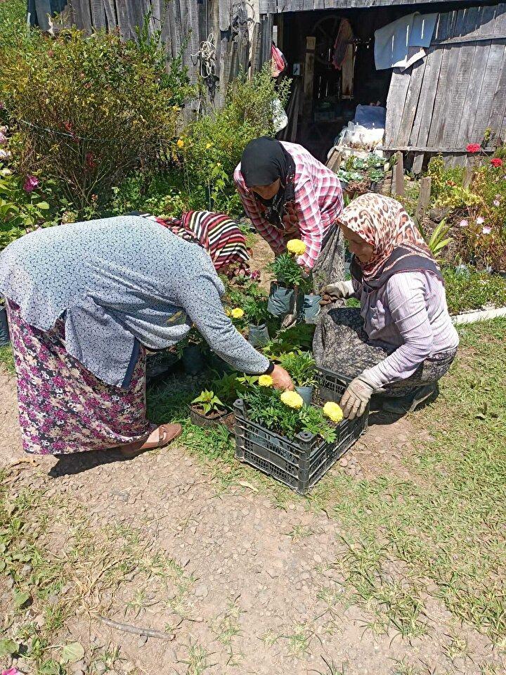 <p><strong>Aynı evi paylaşan 7 kız kardeşin evlenmemesi de dikkat çekti. 15 yıldır; cennet çiçeği, ortanca, kartopu, gece sakalı, palmiye, kaktüs, sukulent, borazan çiçeği, Çin gülü gibi çiçeklerin yanı sıra, salatalık, domates, patlıcan, biber gibi sebzeler de yetiştiriyor.</strong></p>
