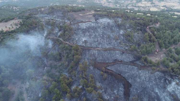 <p>Vatandaşların ihbarı üzerine bölgeye Çanakkale Orman Bölge Müdürlüğü bünyesindeki 35 arazöz, 5 dozer, 8 ilk müdahale aracı, 8 su ikmal aracı, 4 iş makinesi ve 300 personel ile çevre belediyelerin itfaiye ekiplerinin yanı sıra İl Jandarma Komutanlığına ait TOMA ve itfaiye ekibi sevk edildi.</p>