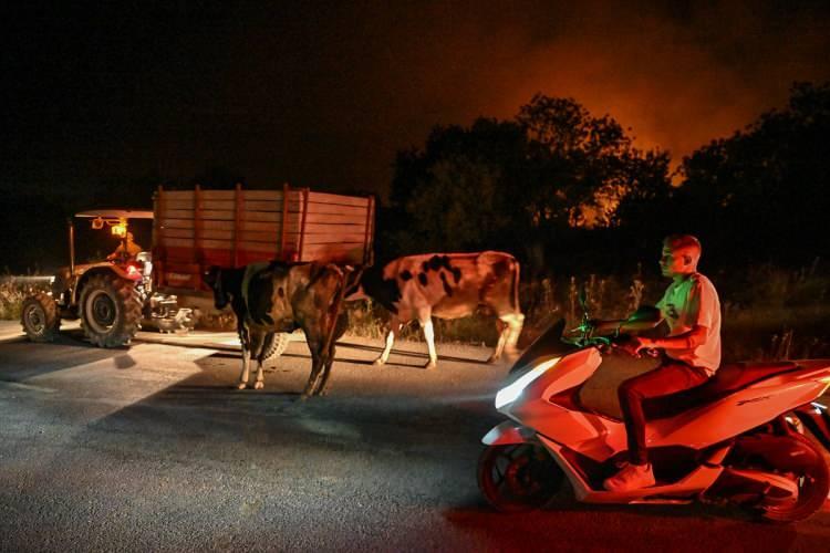 <p>15 helikopter, 7 uçak, 50 arazöz, 20 su ikmal aracı ve 7 dozerle müdahale edilen yangının yayılımının durdurulmasına çalıştı.</p>