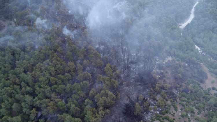 <p><strong>ÇANAKKALE'DE ORMAN YANGINI 9 SAATTİR DEVAM EDİYOR!</strong></p>
<p> </p>
<p>Çanakkale'de 9 saattir devam eden orman yangınındaki son durum dron ile görüntülendi.</p>