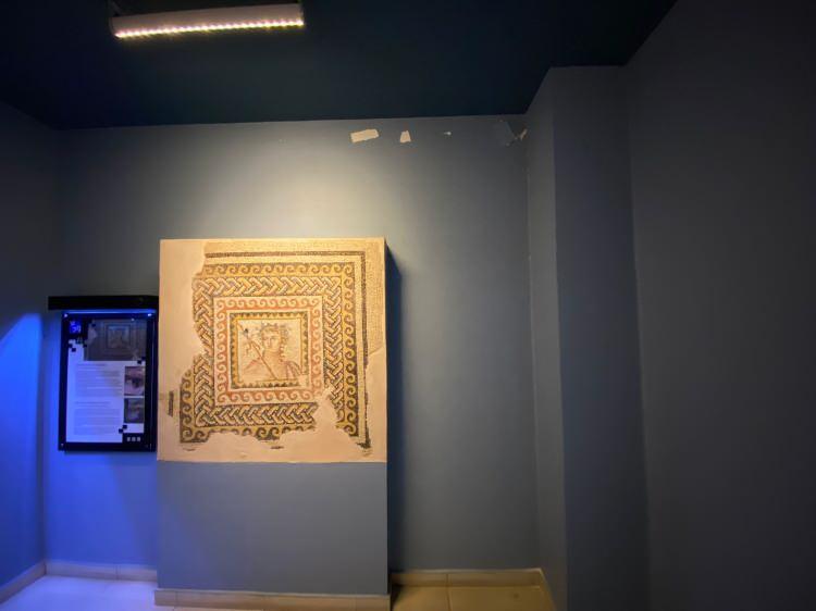 <p><em>(Gaziantep Zeugma Müzesi)</em></p>
