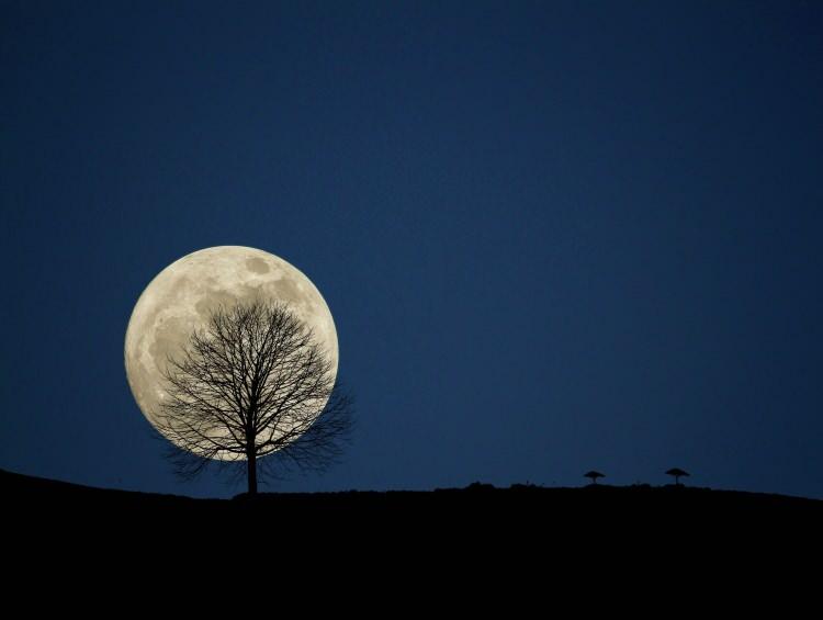 <p>Arizona'da yaşayan bağımsız astrofotoğrafçı Andrew McCarthy, Ay'ın Salı gecesi yaklaşık <strong>yüzde 30</strong> daha parlak olacağını söyledi.</p>
